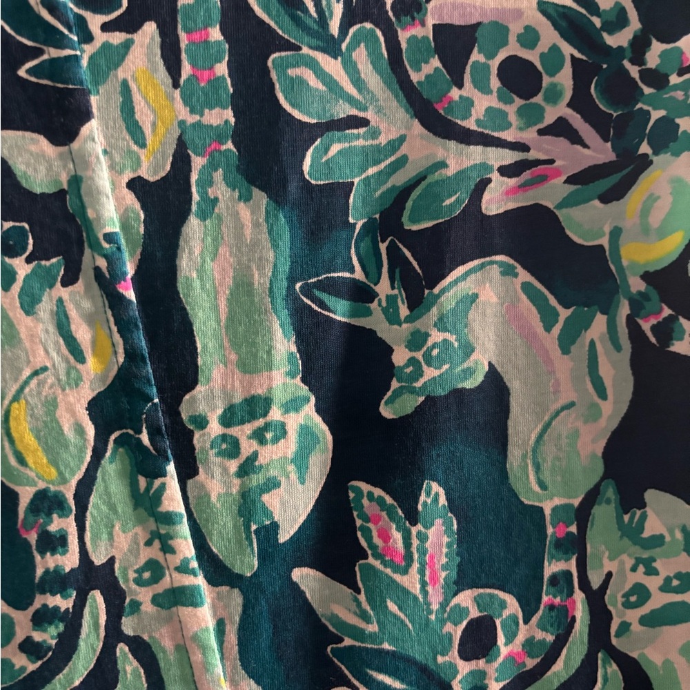 Lilly Pulitzer Multicolor Lemur Dress